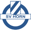  Horn