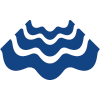  Ningbo Waves