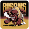  Bisons FB